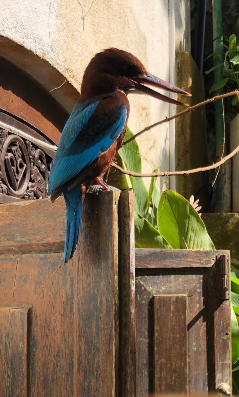 Prince Of Galle Bagian luar foto